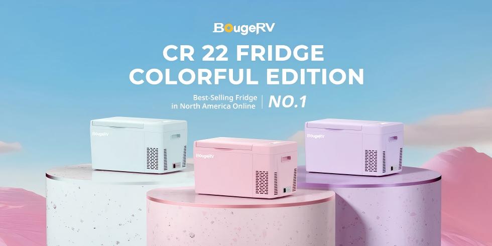 Mini Fridge for Dorm