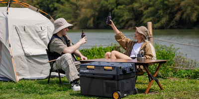 What is the Best Portable Fridge Freezer to Buy?