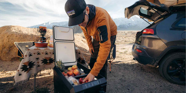 What Is the Best Electric Cooler for Your Car?
