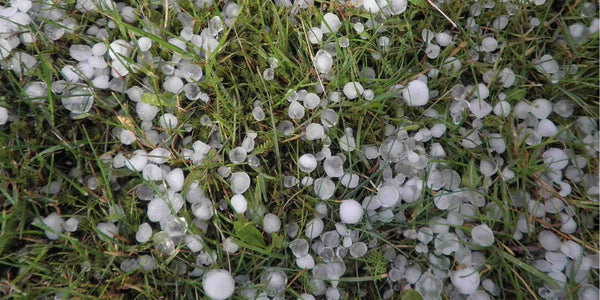 7 Easy and Effective Ways to Protect RV Solar Panels From Hail!
