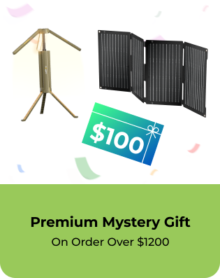 [Free Gift] Premium Mystery Gift for Orders Over $1200