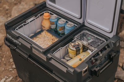 Black electric cooler large capacity