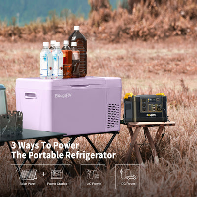 portable 12v purple mini fridge